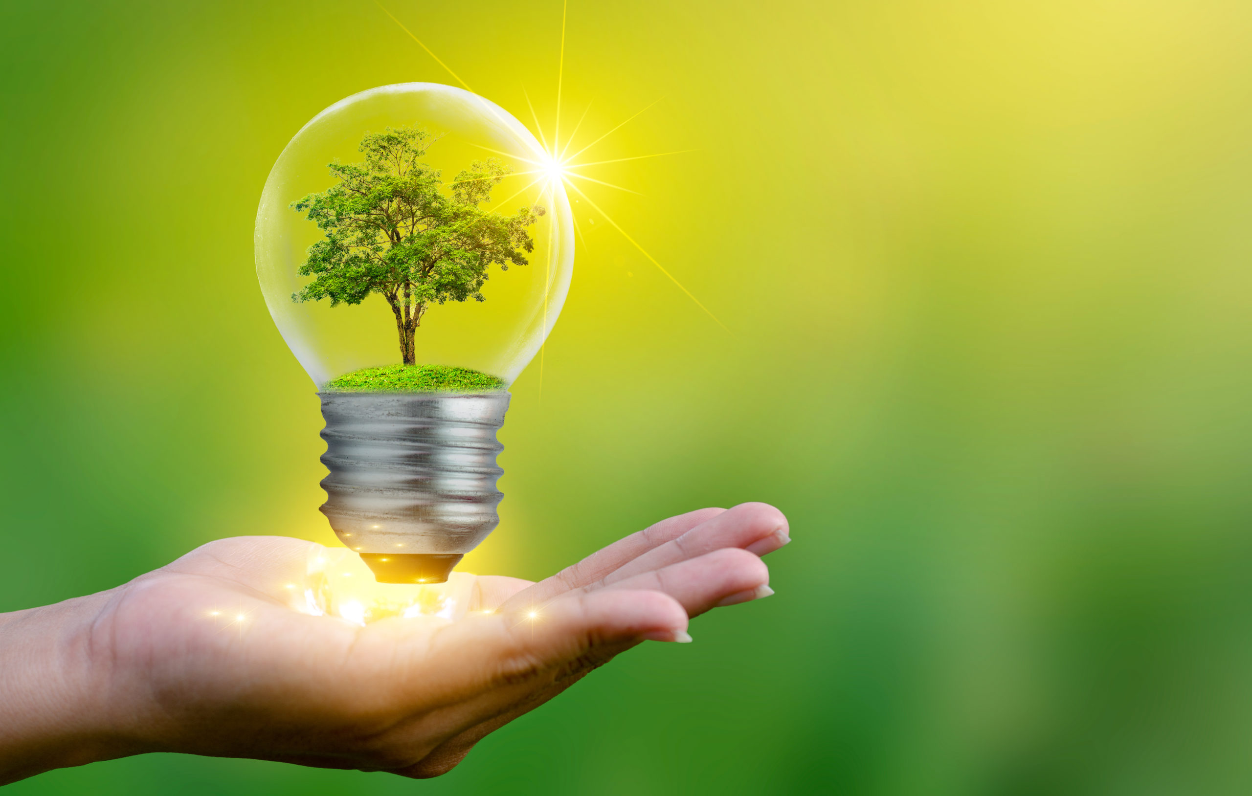 Mahorine Environmental Services (Pty) Ltd
