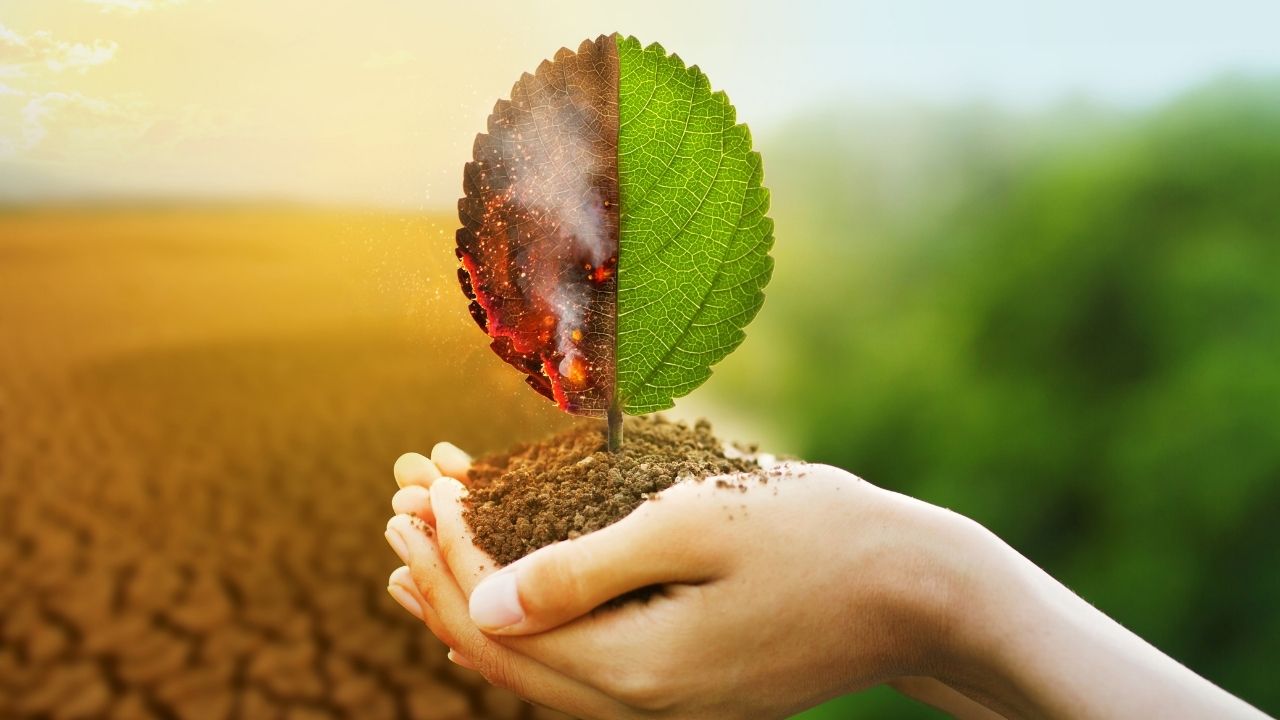 Mahorine Environmental Services (Pty) Ltd